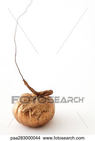 Pumpkin decoration View Large Photo Image Picture - Pumpkin decoration. Fotosearch