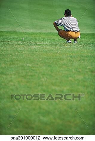 Golfer crouching on green, rear view View Large Photo Image Stock Image - Golfer crouching on green, rear view. Fotosearch