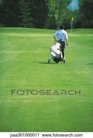 Golfer pulling golf bag on green View Large Photo Image Stock Image - Golfer pulling golf bag on green. Fotosearch