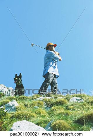 Golfer swinging on rugged terrain View Large Photo Image Stock Photo - Golfer swinging on rugged terrain. Fotosearch