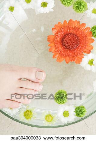 Woman's foot and bowl of flowers floating in water View Large Photo Image Stock Image - Woman's foot and bowl of flowers floating in water. Fotosearch