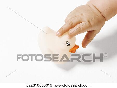 Baby's hand picking up rubber duck View Large Photo Image Stock Photography - Baby's hand picking up rubber duck. Fotosearch
