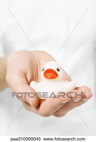 Stock Photography - Hand holding rubber duck. Fotosearch