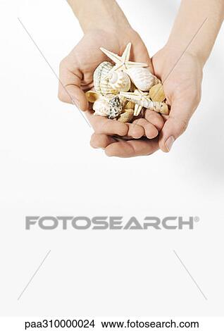 Picture - Hands holding seashells. Fotosearch