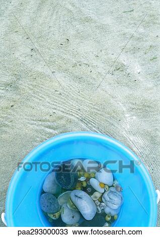 Bucket containing seashells on beach View Large Photo Image Stock Image - Bucket containing seashells on beach. Fotosearch