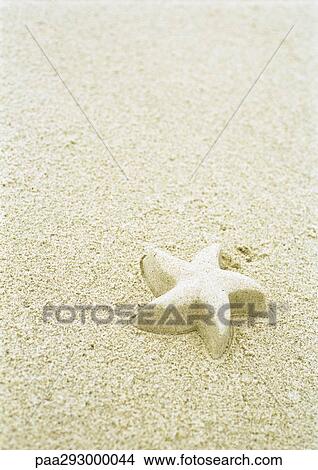 Starfish shape molded out of sand on beach View Large Photo Image Picture - Starfish shape molded out of sand on beach. Fotosearch