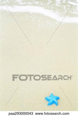 Starfish toy on beach View Large Photo Image Stock Image - Starfish toy on beach. Fotosearch