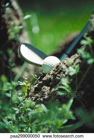 Club next to golf ball in mud, close-up View Large Photo Image Stock Image - Club next to golf ball in mud, close-up. Fotosearch