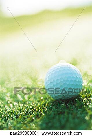 Golf ball on green, close-up View Large Photo Image Stock Image - Golf ball on green, close-up. Fotosearch