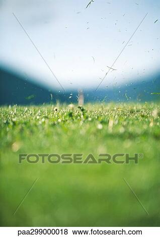 Grass flying in air after tee-off View Large Photo Image Stock Photo - Grass flying in air after tee-off. Fotosearch