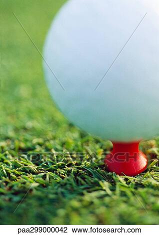 Teed golf ball, extreme close-up View Large Photo Image Stock Image - Teed golf ball, extreme close-up. Fotosearch
