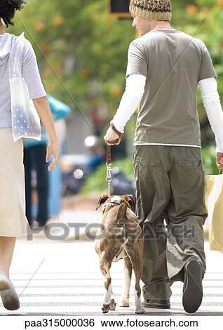 Young couple with dog crossing street View Large Photo Image Stock Photograph - Young couple with dog crossing street. Fotosearch