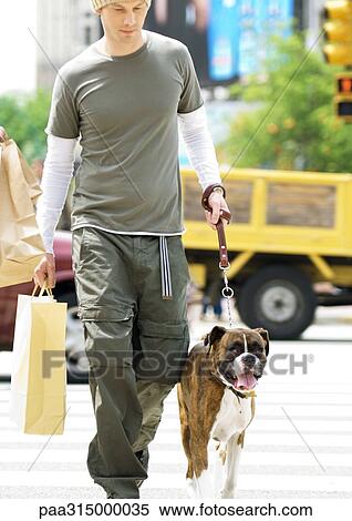 Stock Photography - Young man carrying shopping bag and walking dog. Fotosearch