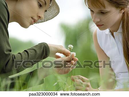 Young woman and girl looking at flowers View Large Photo Image Picture - Young woman and girl looking at flowers. Fotosearch