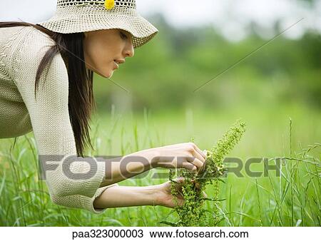 Stock Image - Young woman picking flowers. Fotosearch