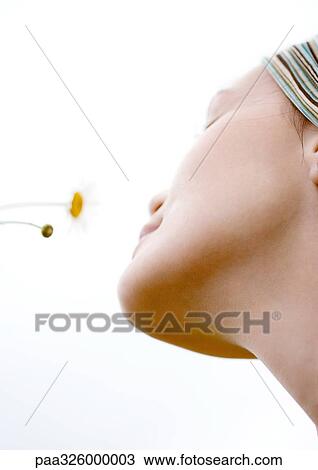 Woman's face and flowers View Large Photo Image Stock Image - Woman's face and flowers. Fotosearch