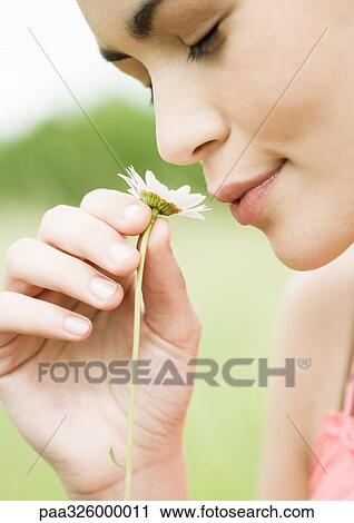 Young woman smelling flower View Large Photo Image Stock Image - Young woman smelling flower. Fotosearch