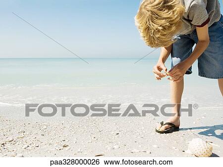 Child picking up seashells on beach View Large Photo Image Stock Photograph - Child picking up seashells on beach. Fotosearch