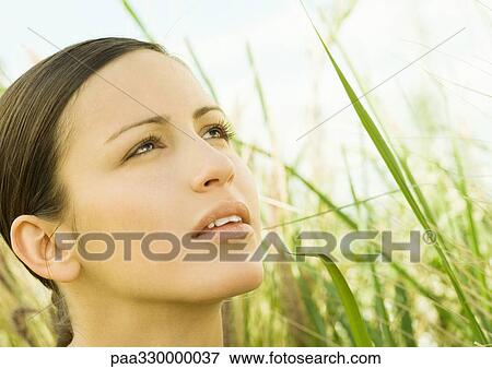 Woman's face in tall grass, looking up View Large Photo Image Stock Photo - Woman's face in tall grass, looking up. Fotosearch