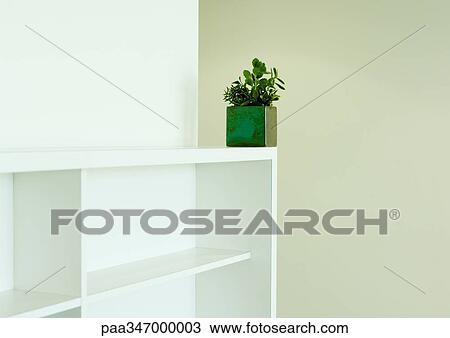 Houseplant on edge of bookcase View Large Photo Image Stock Image - Houseplant on edge of bookcase. Fotosearch