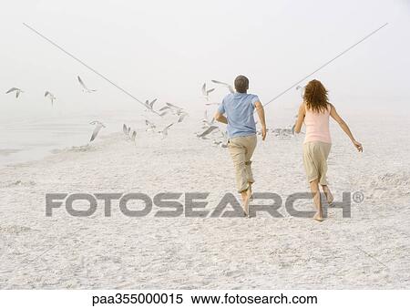 Stock Photography - Couple running on beach toward scattering seagulls. Fotosearch