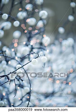 Bare branches with christmas lights View Large Photo Image Stock Photo - Bare branches with christmas lights. Fotosearch