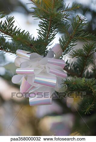 Bow tied on branch of christmas tree View Large Photo Image Stock Image - Bow tied on branch of christmas tree. Fotosearch