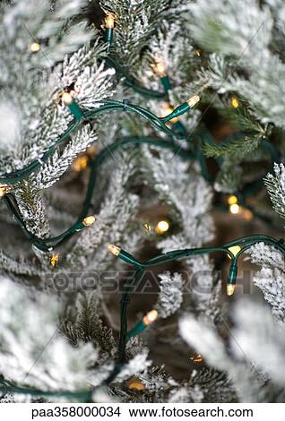 Christmas lights on christmas tree, close-up View Large Photo Image Picture - Christmas lights on christmas tree, close-up. Fotosearch