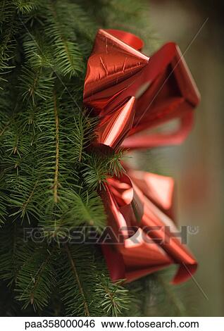 Stock Photograph - Red bow on christmas greenery. Fotosearch