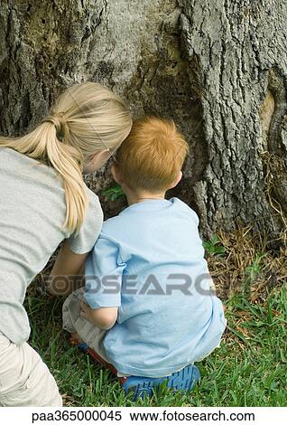Boy and woman looking at base of tree, rear view View Large Photo Image Stock Photography - Boy and woman looking at base of tree, rear view. Fotosearch