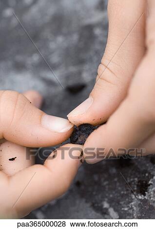 Fingers holding clod of dirt View Large Photo Image Stock Photo - Fingers holding clod of dirt. Fotosearch