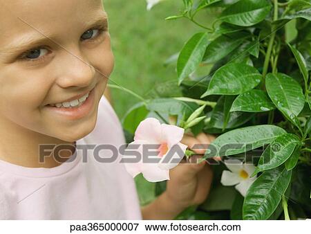 Girl next to mandevilla plant View Large Photo Image Stock Photo - Girl next to mandevilla plant. Fotosearch