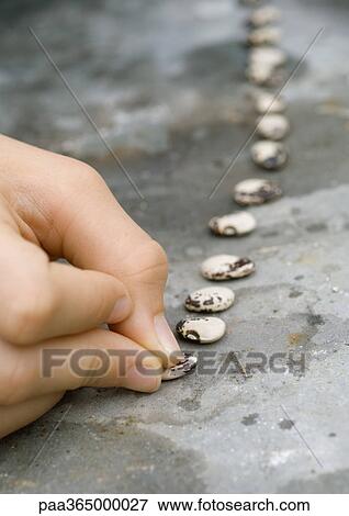 Hand placing seeds in a row View Large Photo Image Stock Photo - Hand placing seeds in a row. Fotosearch