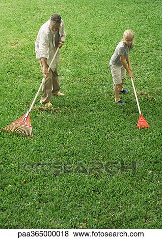 Man and daughter raking grass View Large Photo Image Stock Photo - Man and daughter raking grass. Fotosearch