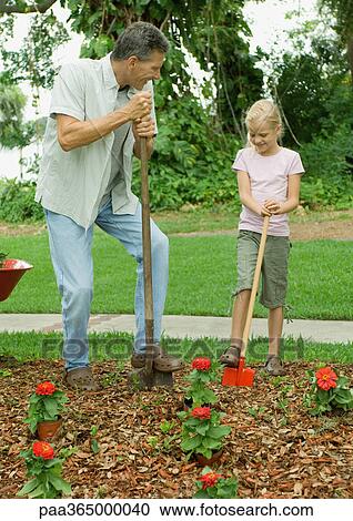 Man and girl planting flowers View Large Photo Image Stock Image - Man and girl planting flowers. Fotosearch