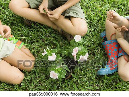 Three children sitting around flowers, on grass View Large Photo Image Stock Photograph - Three children sitting around flowers, on grass. Fotosearch