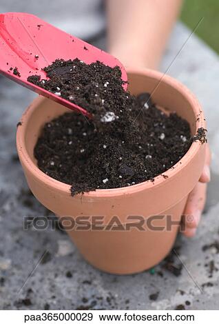 Stock Photo - Using trowel to put soil into pot. Fotosearch