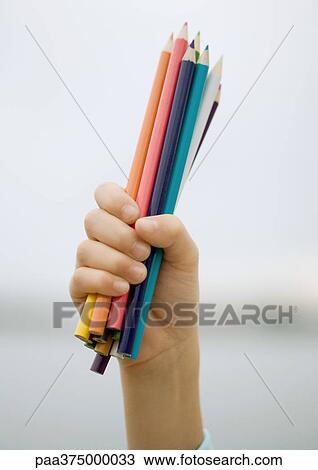 Child's hand holding fistful of colored pencils View Large Photo Image Stock Image - Child's hand holding fistful of colored pencils. Fotosearch