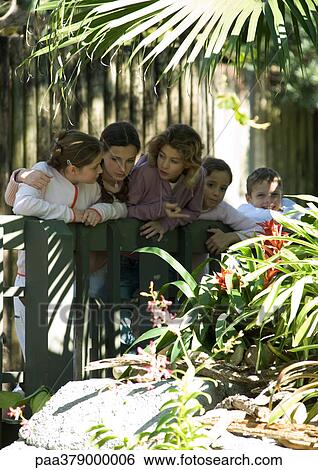 Group of children looking over railing in wildlife park View Large Photo Image Stock Photograph - Group of children looking over railing in wildlife park. Fotosearch