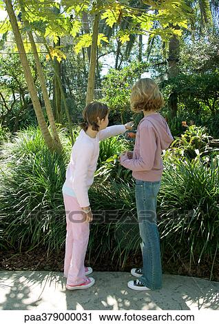 Two girls looking at birds in wildlife park View Large Photo Image Stock Image - Two girls looking at birds in wildlife park. Fotosearch