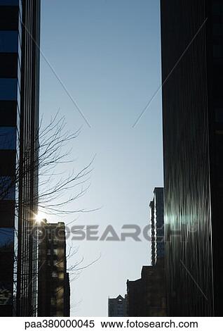 Skycrapers, backlit by sun View Large Photo Image Stock Photography - Skycrapers, backlit by sun. Fotosearch