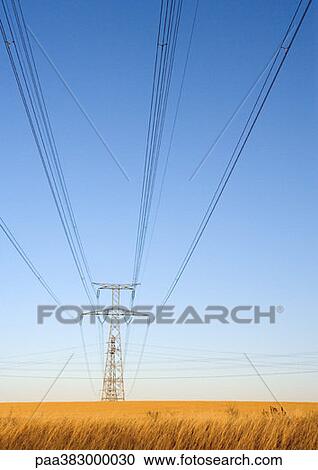 Electric pylon, low angle view View Large Photo Image Stock Image - Electric pylon, low angle view. Fotosearch
