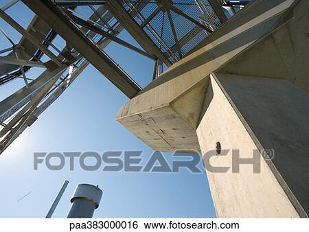 Paper plant, low angle partial view View Large Photo Image Stock Photograph - Paper plant, low angle partial view. Fotosearch