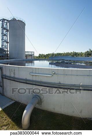 Paper plant View Large Photo Image Picture - Paper plant. Fotosearch