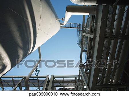Paper plant View Large Photo Image Stock Image - Paper plant. Fotosearch