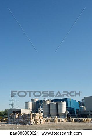 Stock Image - Paper plant. Fotosearch