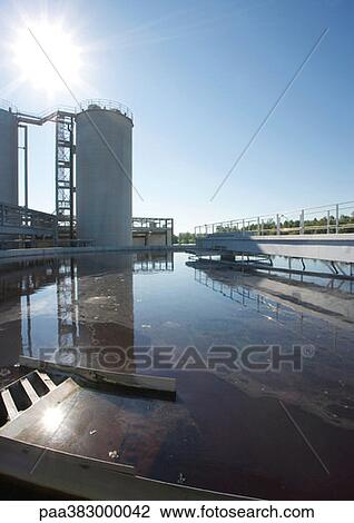 Paper plant View Large Photo Image Stock Image - Paper plant. Fotosearch