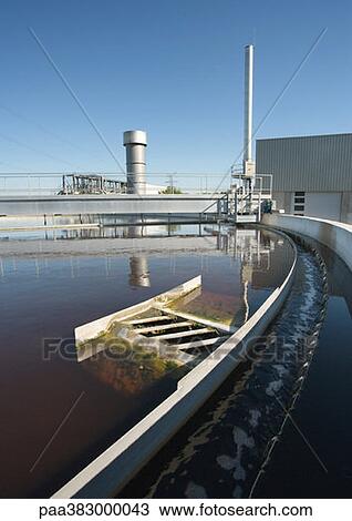 Paper plant View Large Photo Image Stock Image - Paper plant. Fotosearch