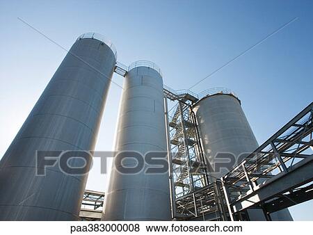 Paper plant View Large Photo Image Stock Photo - Paper plant. Fotosearch