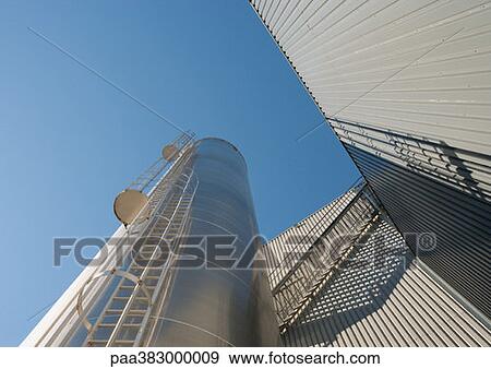 Paper plant View Large Photo Image Stock Photo - Paper plant. Fotosearch